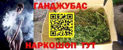 прущие грибы Лесосибирск
