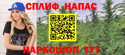 прущие грибы Лесосибирск
