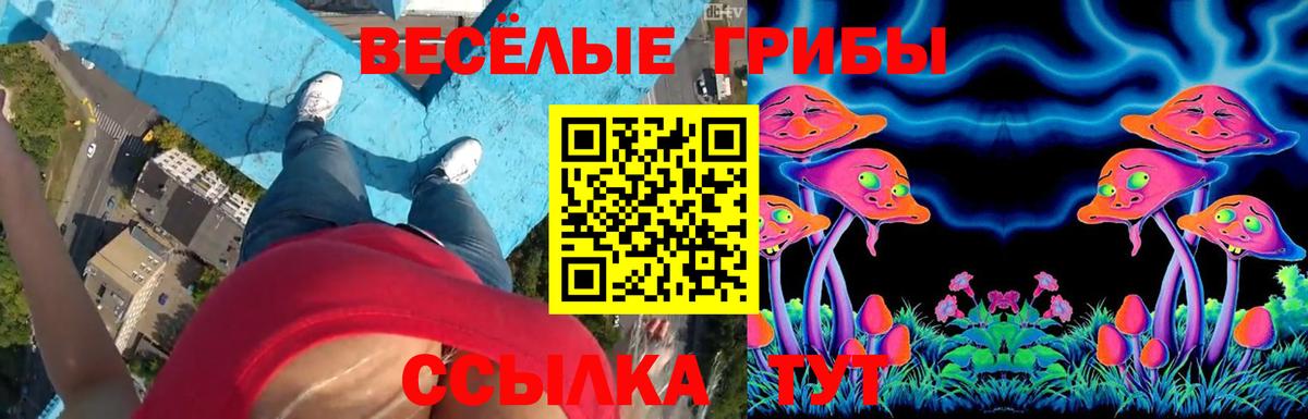 Псилоцибиновые грибы Psilocybe  Вход с VPN  Псилоцибиновые грибы мицелий  Ейск 