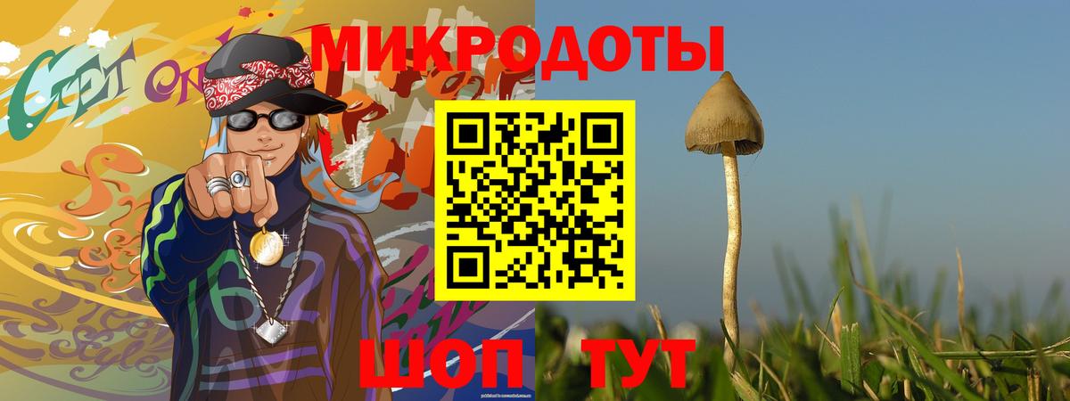 Псилоцибиновые грибы Psilocybine cubensis Ейск
